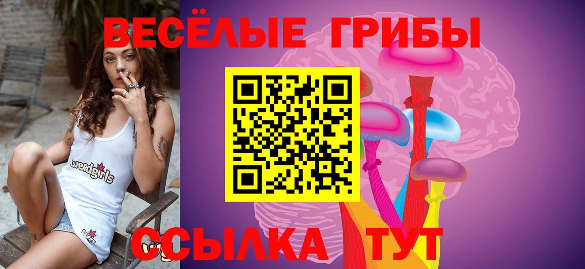 Клин  Псилоцибиновые грибы мицелий  Псилоцибиновые грибы ЛСД  Вход с VPN 