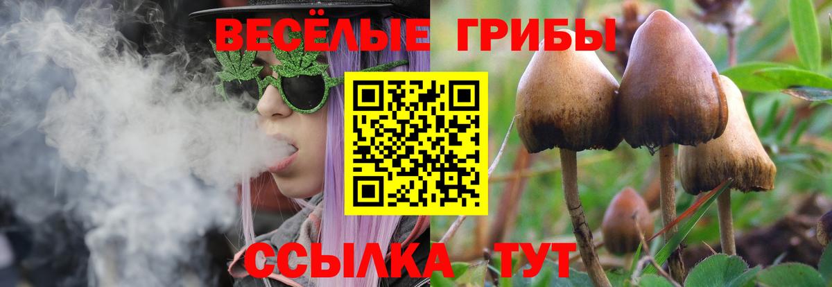 Псилоцибиновые грибы прущие грибы Клин
